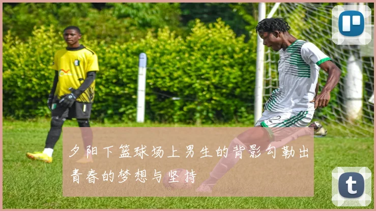 夕阳下篮球场上男生的背影勾勒出青春的梦想与坚持