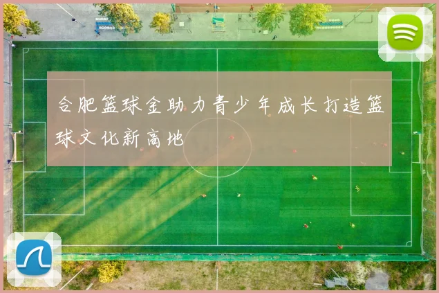 合肥篮球金助力青少年成长打造篮球文化新高地