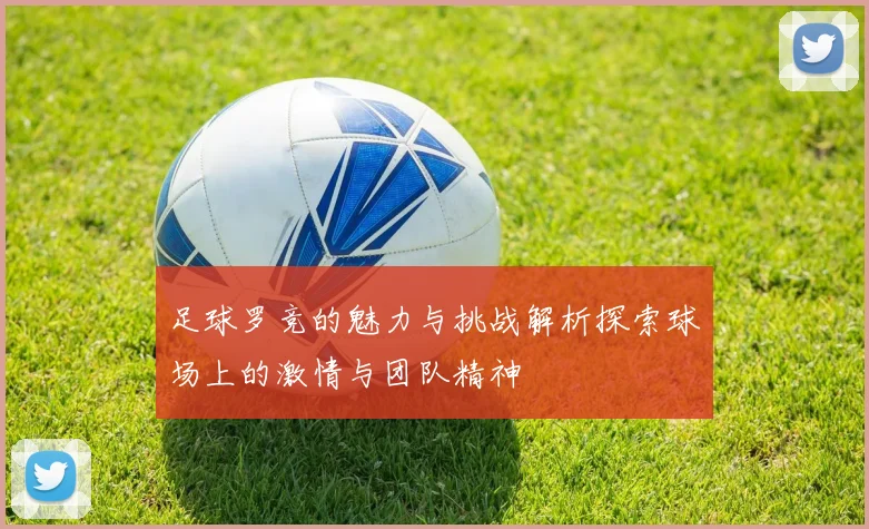 足球罗竞的魅力与挑战解析探索球场上的激情与团队精神